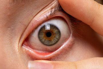 Macro photo of human eye, iris, pupil, eye lashes, eye lids.