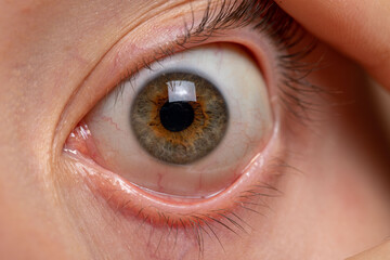 Macro photo of human eye, iris, pupil, eye lashes, eye lids.