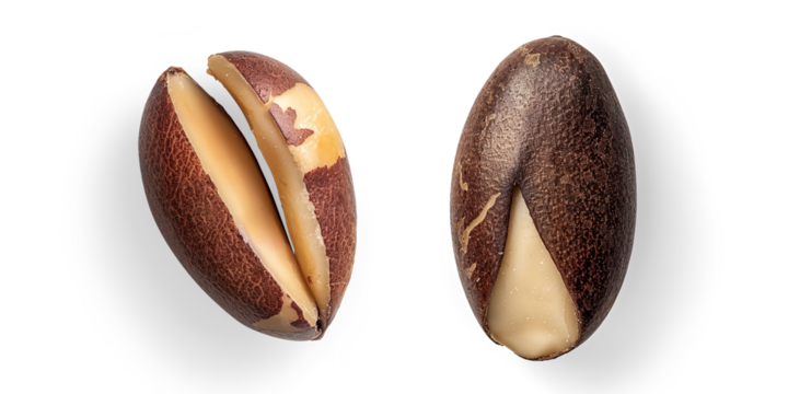 Cracked Brown Seed with White Interior on a Transparent Background