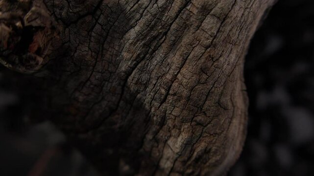 A close-up shot of a gnarled and weathered piece of wood with deep cracks and rough surface. The natural aging of the wood emphasizes its unique, organic texture against a dark background.