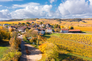 Burgundy, vineyards, landscape and village in autumn. 