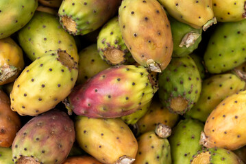 Prickly pears or cactus fruits