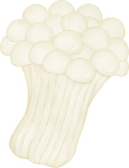 watercolor enoki mushroom