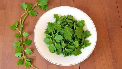Fresh green parsley leaves on a white plate.