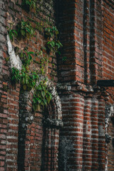 Red brick wall with wall plants.