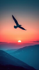 Fototapeta premium Silhouette of bird against a mountain sunset horizon.