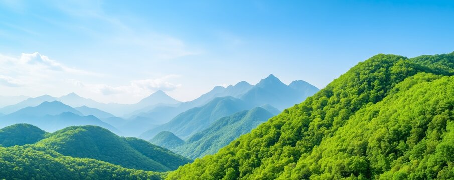 Mountain range covered in rich flora and fauna, demonstrating the importance of preserving biodiversity in natural landscapes for sustainable solutions