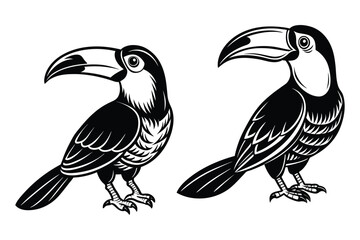 This is toucan bird vector illustration design black and white  © Active Abdur Rouf