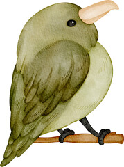 watercolor flowerpecker bird