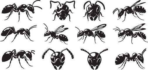 Silhouettes of ants.