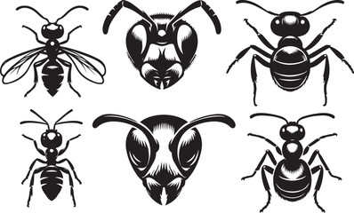 Silhouettes of ants.