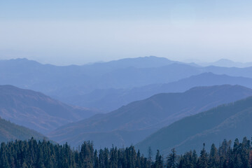 Naklejka premium Foggy Mountains Landscape in Kings Canyon and Sequoia National Park, California.