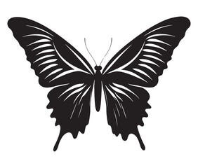 Obraz premium Butterfly silhouette vector, Line art butterfly, Cute butterfly vector