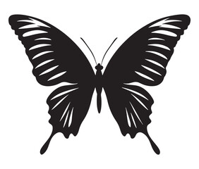 Butterfly silhouette vector, Line art butterfly, Cute butterfly vector