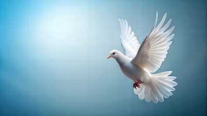White dove in flight against blue sky