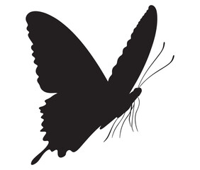 Butterfly silhouette vector, Line art butterfly, Cute butterfly vector