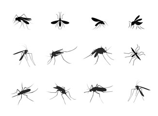 Mosquito icon vector insert mosquito flat illustration icon .vector