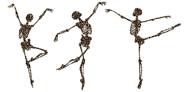 A set Halloween drawing of a dancing ballet skeleton isolated on a white background. Leopard ornament in the skeletons. Flat graphic