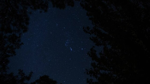 Time lapse of the constellation of Orion above the trees