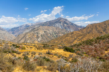 Scenic Landscape in Kings Canyon and Sequoia National Park, California.