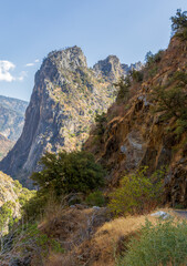 Scenic Landscape in Kings Canyon and Sequoia National Park, California.