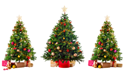 Christmas Tree With Gifts Or Adorned Christmas Tree Against a White Backdrop