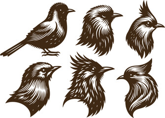 set of a bird silhouette vector image. birds illustration
