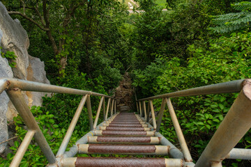Wooden stairs leading into lush greenery,Khao Nor - Khao Kheaw , Nakornsawan, thailand