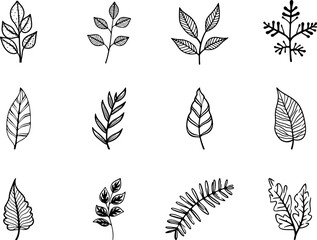 Fototapeta premium Hand Drawn Leaves Illustrations