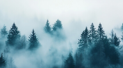 A moody photograph of a foggy forest with tall trees disappearing into the mist.