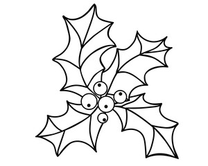Holly leaves and berries, christmas plant - vector linear picture for coloring. Outline. Holly leaves and berries, evergreen bush for Christmas coloring	