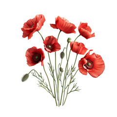 Naklejka premium Poppy Bouquet