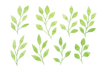 Assortment of watercolor leaves illustration set - green leaf branches collection for wedding, greetings, stationary, wallpapers, fashion, background. olive, green leaves, Eucalyptus etc