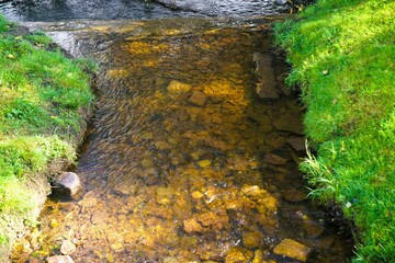 Flussmündung zwischen grünen Wiesenufern bei Sonne am Morgen im Spätsommer