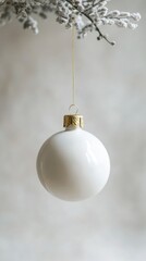 White christmas ornament hanging on snowy branch