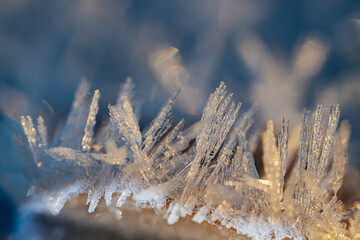 A macro shot capturing the delicate beauty of ice crystals shimmering in the soft glow of sunlight. The intricate structures of the frost glisten with hints of gold and blue, creating a mesmerizing