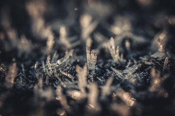 A stunning macro shot showcasing intricate ice crystals forming in a cold environment. The delicate structures of the crystals rise in various shapes, creating a mesmerizing natural pattern of frost
