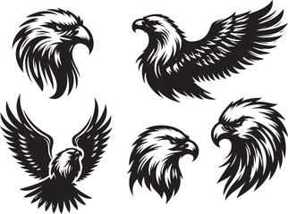 eagle head vector illustration set