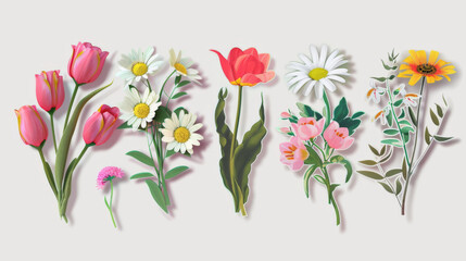 Assorted colorful flowers on a white background