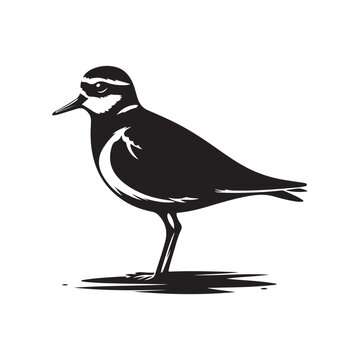 recommend clip art: Minimalist Plovers Silhouette Vector Art – Wildlife Design Collection