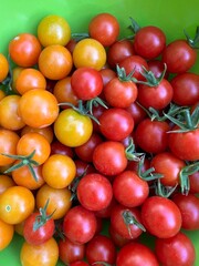 fresh garden cherry tomatoes, close up