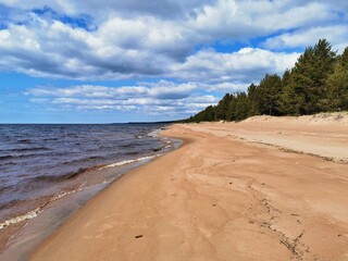 Sunny beach view with gentle waves, sandy shoreline, and green trees along the calm waterside. Ladoga lake.