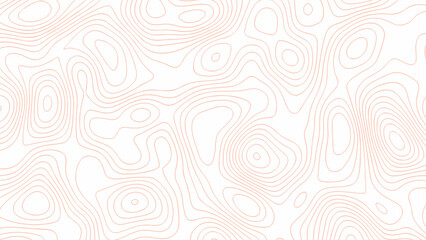 Black on white contours vector topography stylized height of the lines.