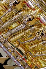 Generic valved brass musical instrument