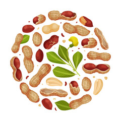 Peanut Natural Round Composition Design with Kernel Shell Vector Template