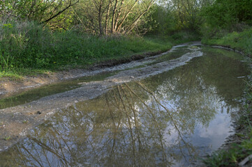 Puddles on a dirt road after a flood