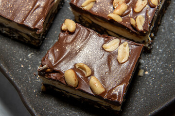 A delicious trey of Salted Peanut Nanaimo Bars which is a dessert that requires no baking and is named after the Canadian city of Nanaimo in British Columbia