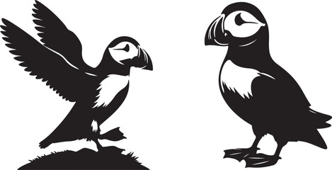 Seagull vector silhouette image