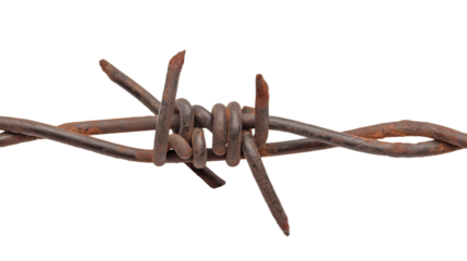 Barbed wire isolated on transparent and white background, cut out png