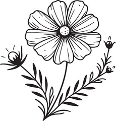 Easy yellow cosmos flower drawing, vintage floral vector illustration, october bitrh flower botanical illustration simple outline